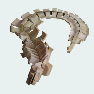 Coccodrillo