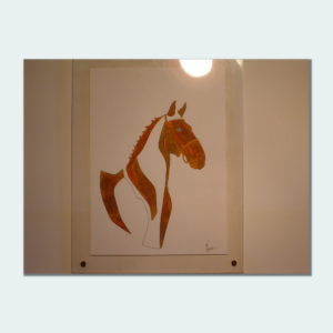 Cavallo