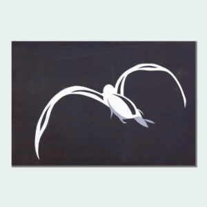 Volo