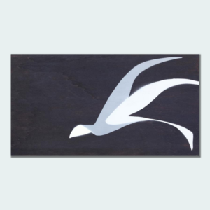 Volo